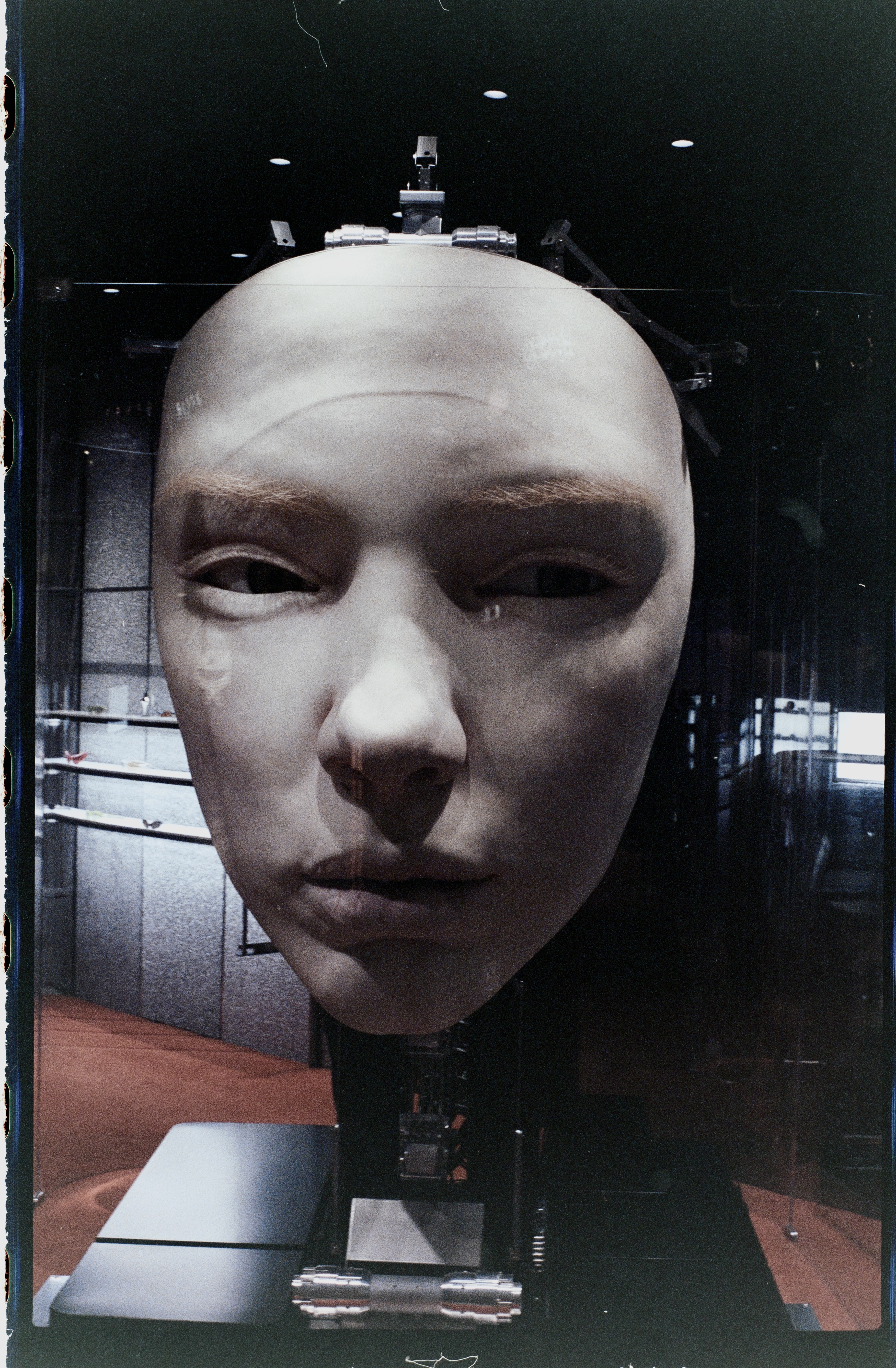 Description of photo 3