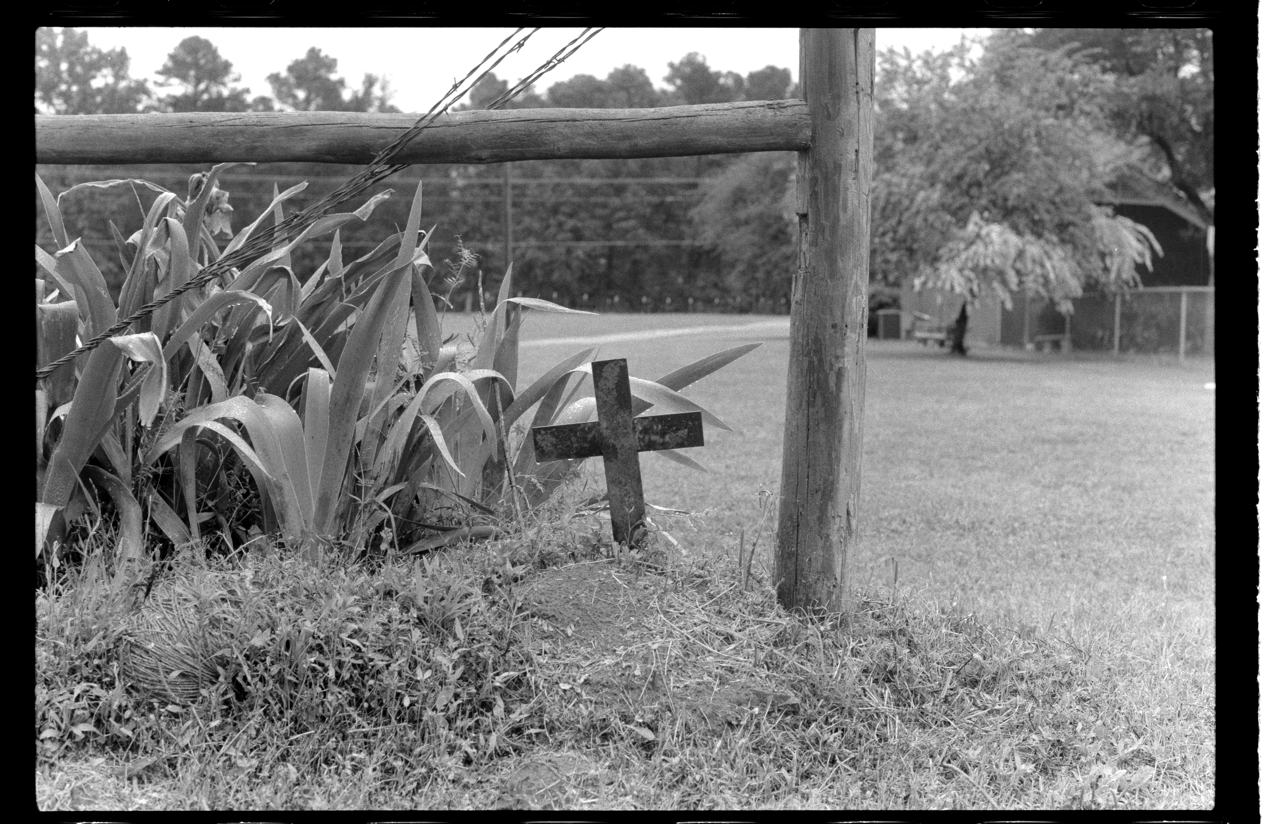 Description of photo 3