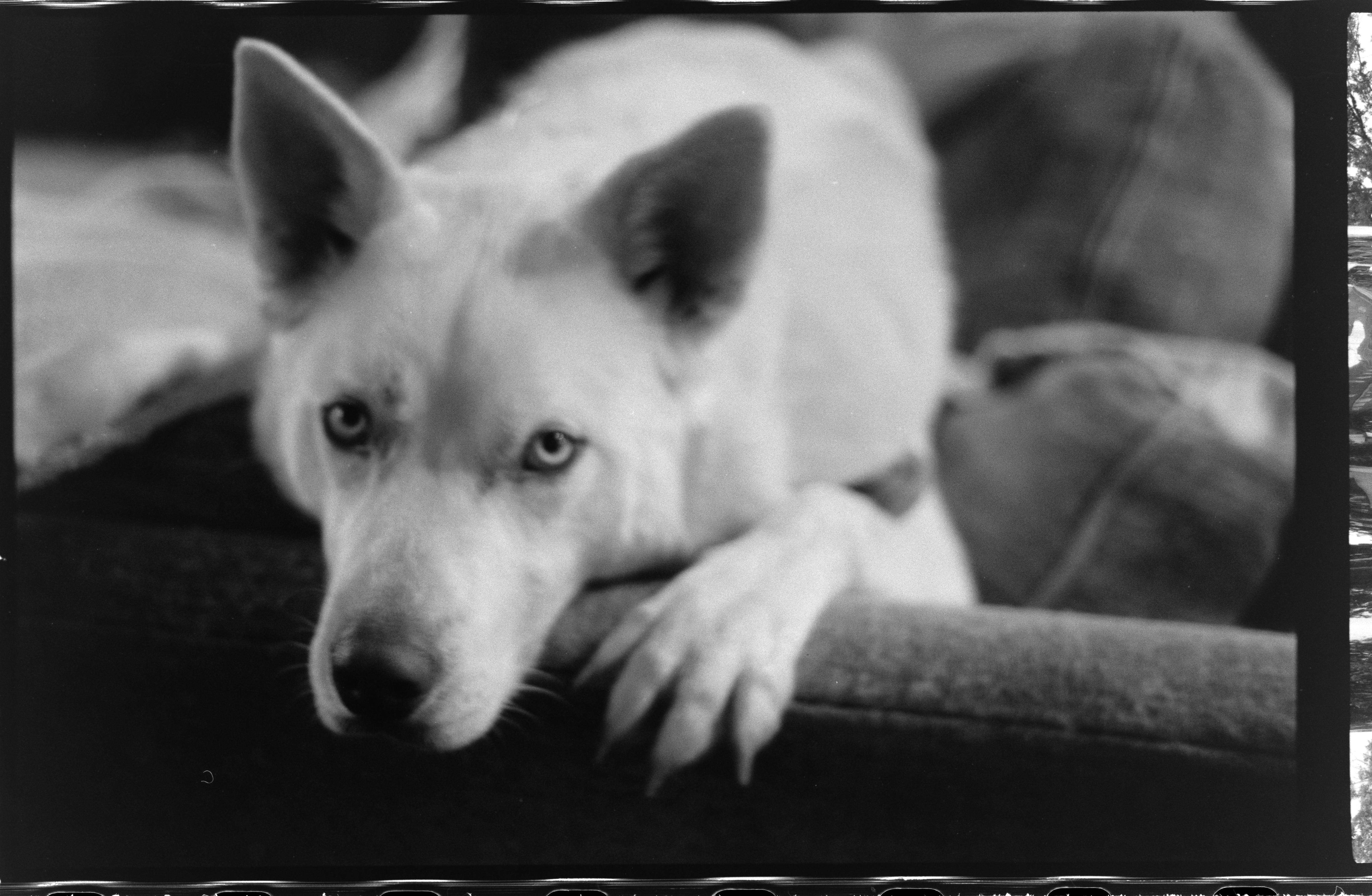 Description of photo 3